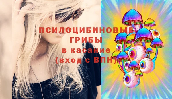 первитин Гвардейск