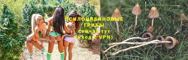 дурь Галич
