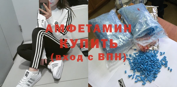 трава Гатчина