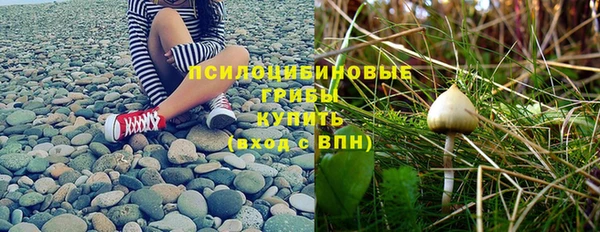 трава Гатчина