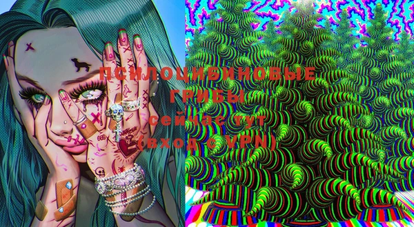 трава Гатчина