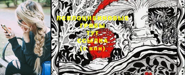 первитин Гвардейск