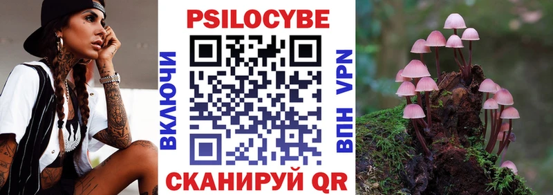 как найти   Старая Купавна  Псилоцибиновые грибы Cubensis 