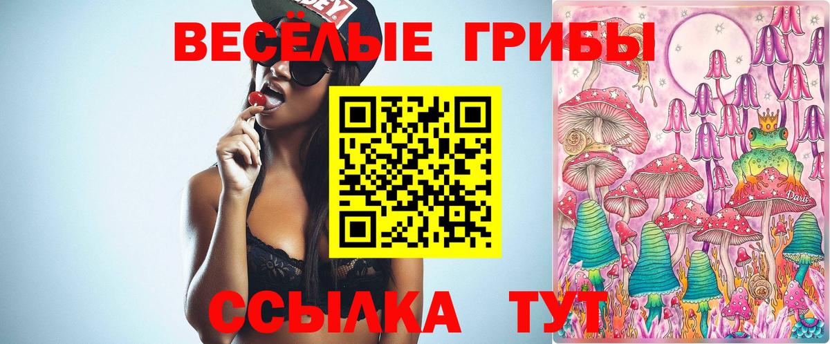 Старая Купавна  Псилоцибиновые грибы прущие грибы  Вход с VPN  Галлюциногенные грибы MAGIC MUSHROOMS 
