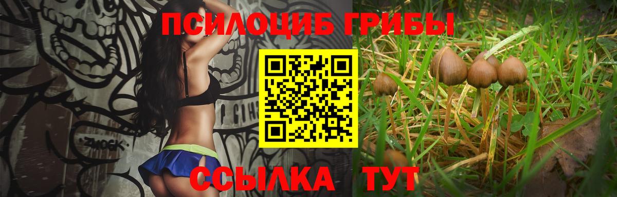 Псилоцибиновые грибы MAGIC MUSHROOMS Старая Купавна