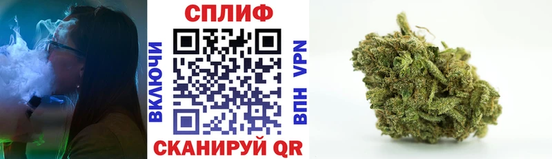 Каннабис планчик omg ТОР Старая Купавна